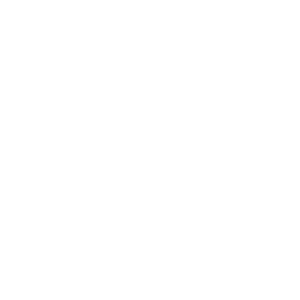 Nlr X Movember Logo