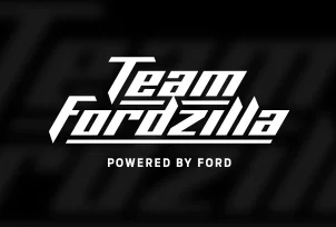 Esports Team Teamfordzilla