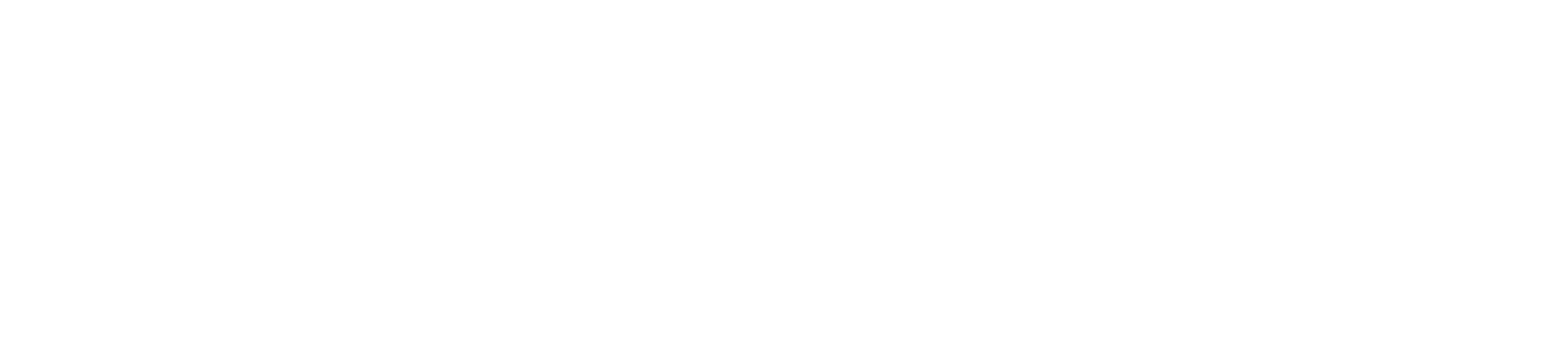 Bd Logo New